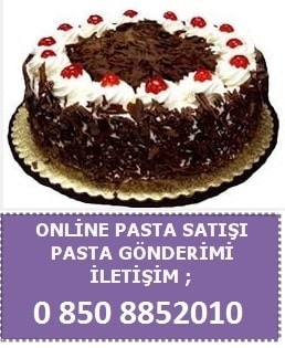 Antalya doğum günü yaş pasta siparişi