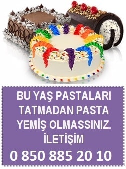 doğum günü yaş pastaları satışı Kıbrıs